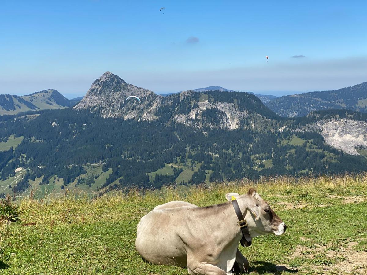 Mountain Moments Tannheim - Familie Weber Lejlighed Eksteriør billede